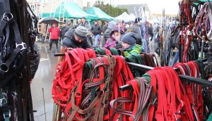 aIMG_6938 Wstępy 2020