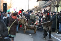 Kusaki w Jedlińsku 2011r., fot.9