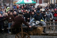 Kusaki w Jedlińsku 2012r., fot.10