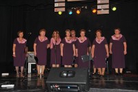 VI Powiatowy Dzień Animatora Kultury, fot.1