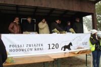 Targi Końskie - Wstępy 2015; 16