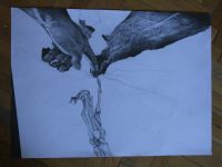 Dni Leśmianowskie;7