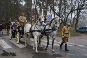 Obchody Narodowego Święta Niepodległości 2016