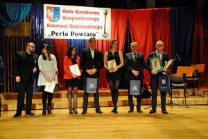 Perła Powiatu 2017_DSC0057.JPG