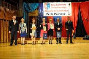 Perła Powiatu 2017_DSC0144.JPG