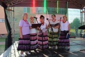 Niedziela z Powiatem w Goździe