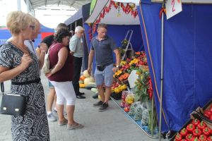 Ogólnopolskie Targi Papryki w Przytyku