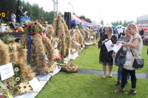 Powiatowo - Gminne Dożynki w Wolanowie