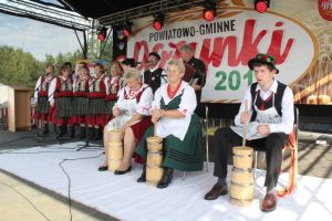 Powiatowo - Gminne Dożynki w Wolanowie