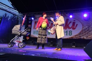 Powiatowo - Gminne Dożynki w Wolanowie