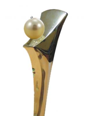 Perła Powiatu na szóstkę /10.03.2017r./