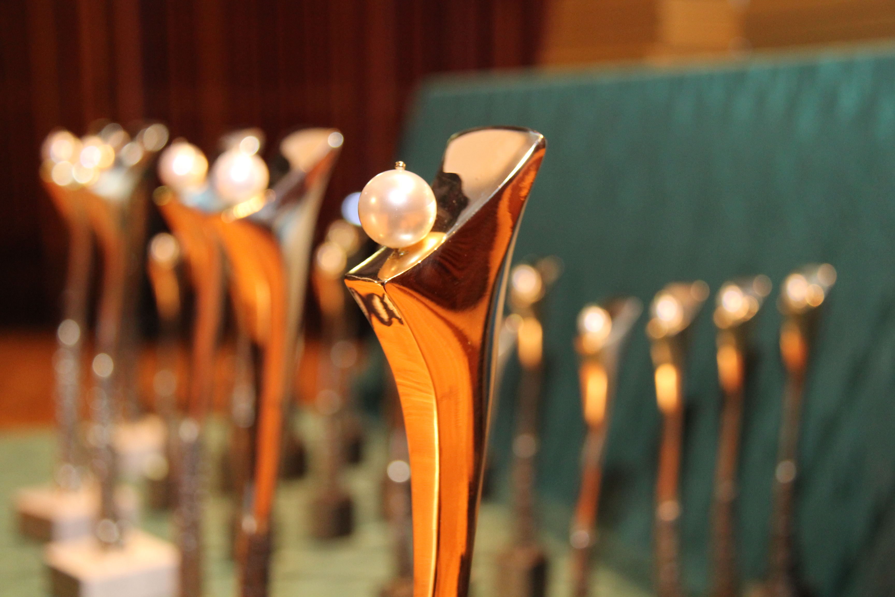 Perły Powiatu za 2018 rok rozdane - 26.04.2019r.