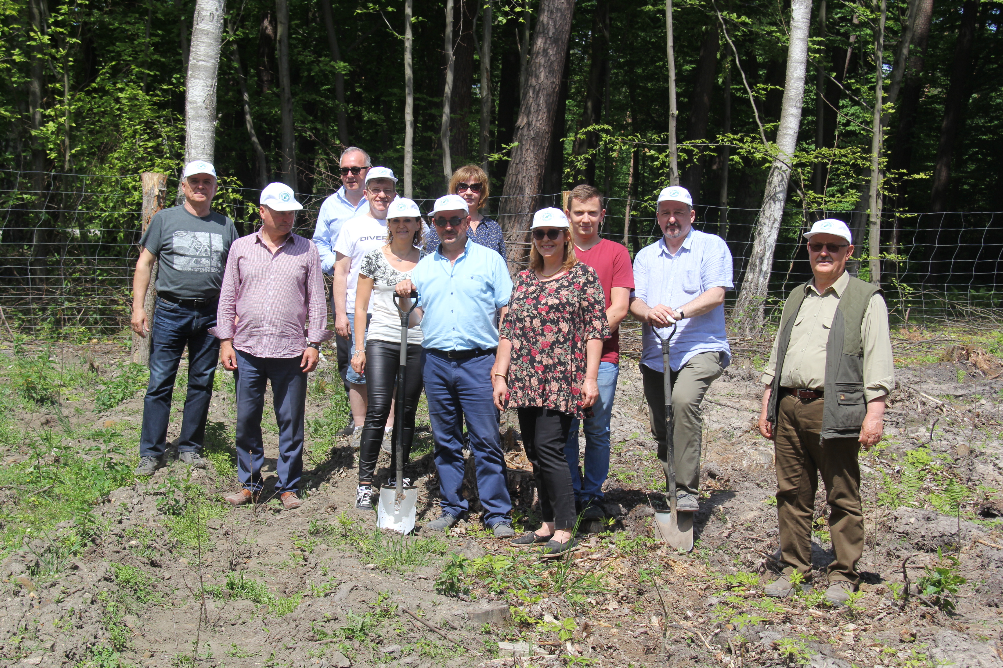 Posadziliśmy 1000 dębów w Marculach