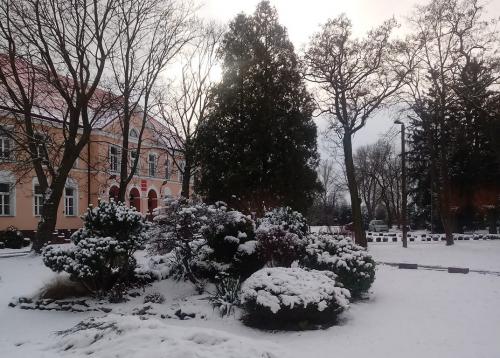 Rozpoczęła się przebudowa szkoły specjalnej w Chwałowicach