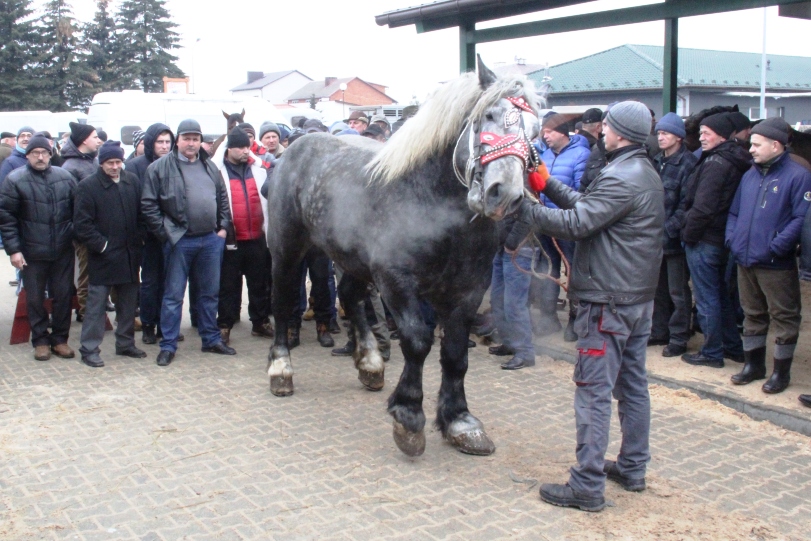 Wstępy na nowych zasadach